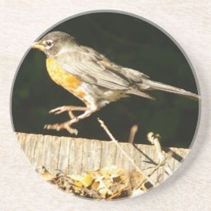 Red Robin Bobbin Untersetzer