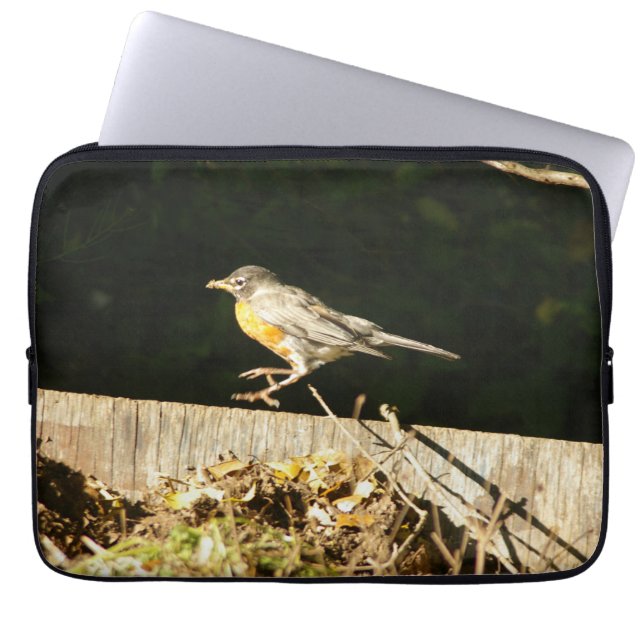 Red Robin Decal für 15" Notebook Laptopschutzhülle (Vorderseite)