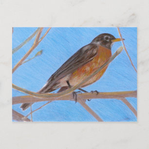 Red Robin Fine Art Nature Postcard Postkarte
