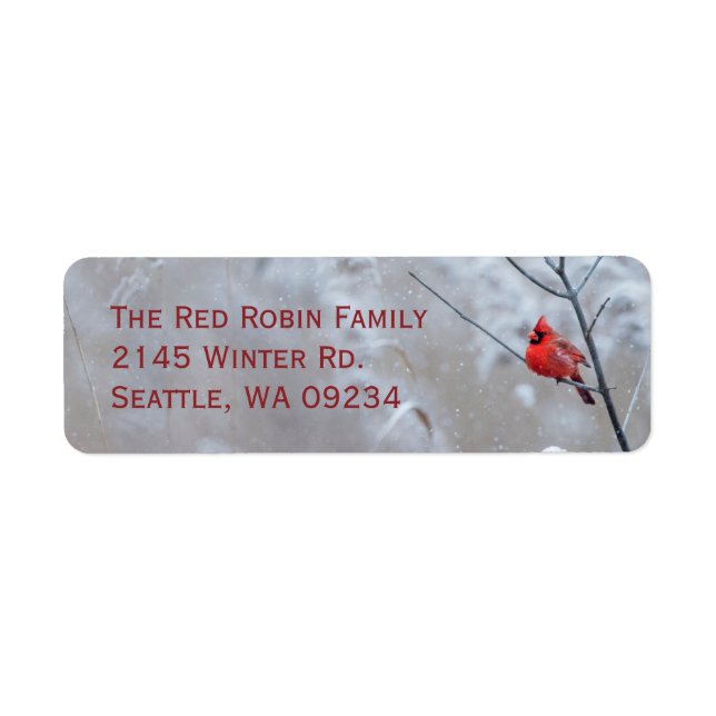 Red Robin in Snow Weihnachten (Vorne)