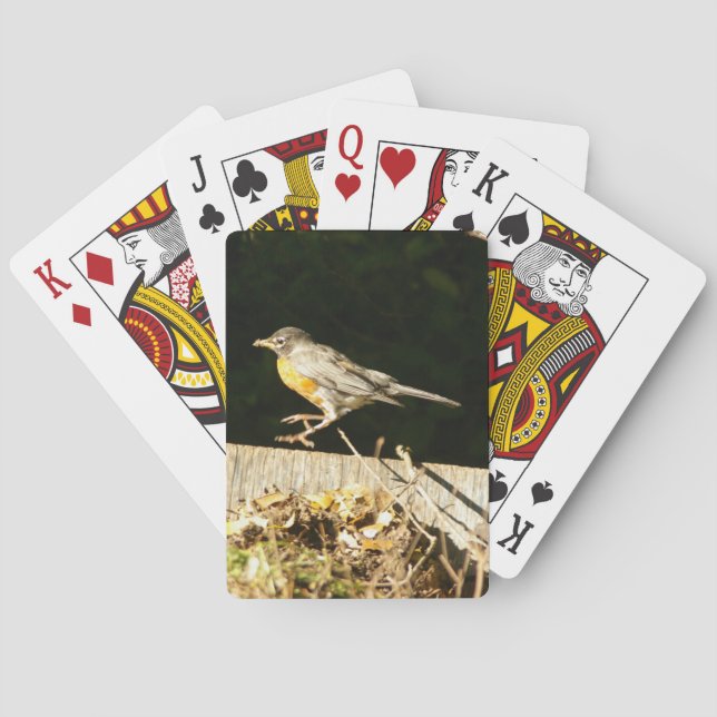 Red Robin Spielkarten (Rückseite)