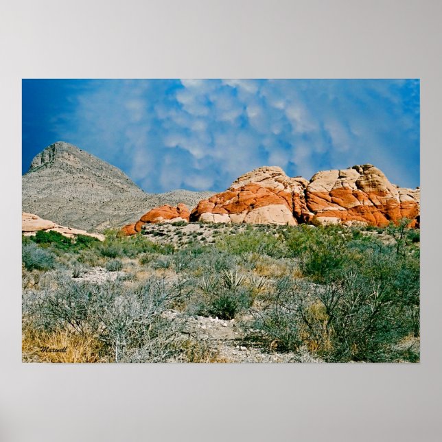 Red Rock Canyon Landscape Foto Pinakothek Züst Poster (Vorne)