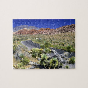 Red Rock Canyon National Conservation Area, Las