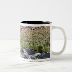 Red Rock Canyon National Conservation Area, Las Zweifarbige Tasse