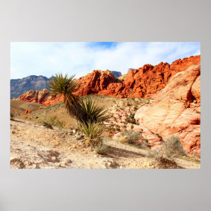 Red Rock Canyon Spring Mountains Hintergrund Poster