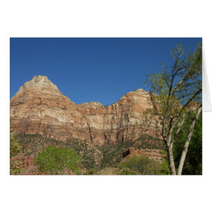 Red Rocks à Zion National Park Photographie