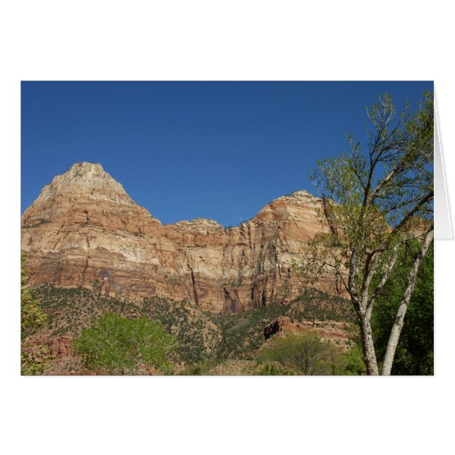 Red Rocks à Zion National Park Photographie (Devant horizontal)