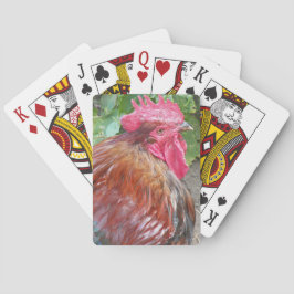 Red Rooster Chicken Foto Spielkarten