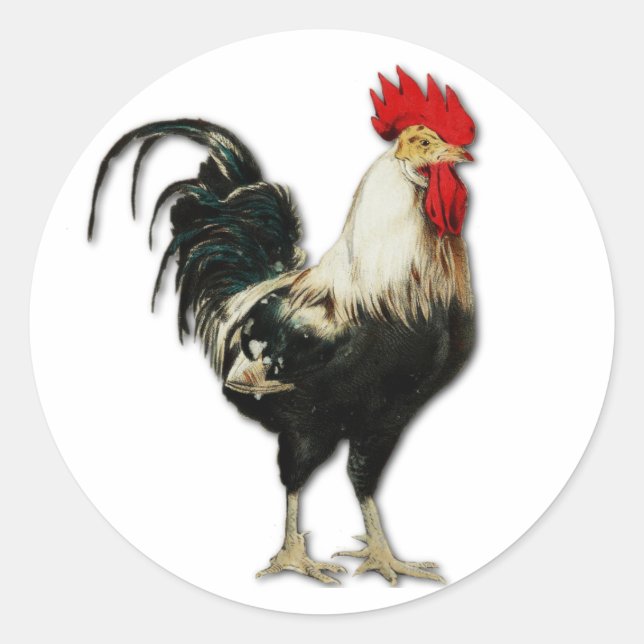 Red Rooster Hühnchen individualisieren Runder Aufkleber (Vorderseite)