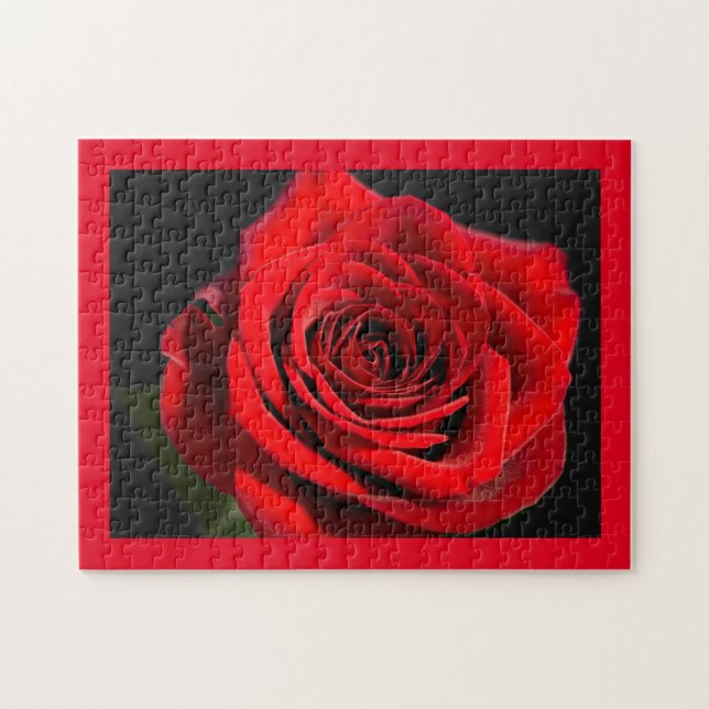 Red Rose (Horizontal)