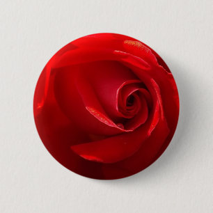 Red-Rose-3.jpg Button