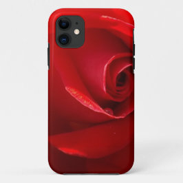 Red-Rose-3.jpg title_seo2