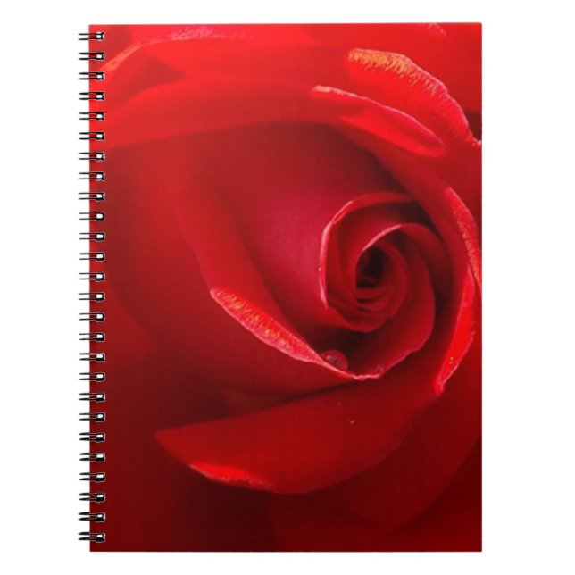 Red-Rose-3.jpg Notizblock (Vorderseite)