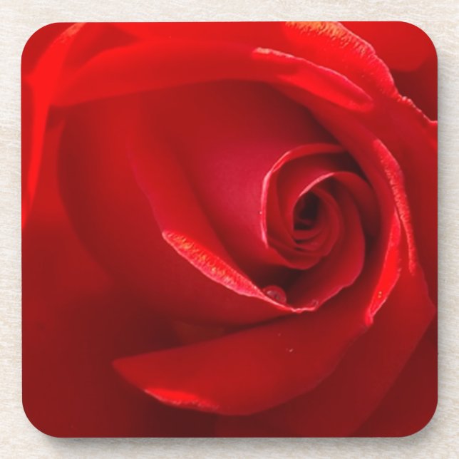 Red-Rose-3.jpg Untersetzer (Vorderseite)