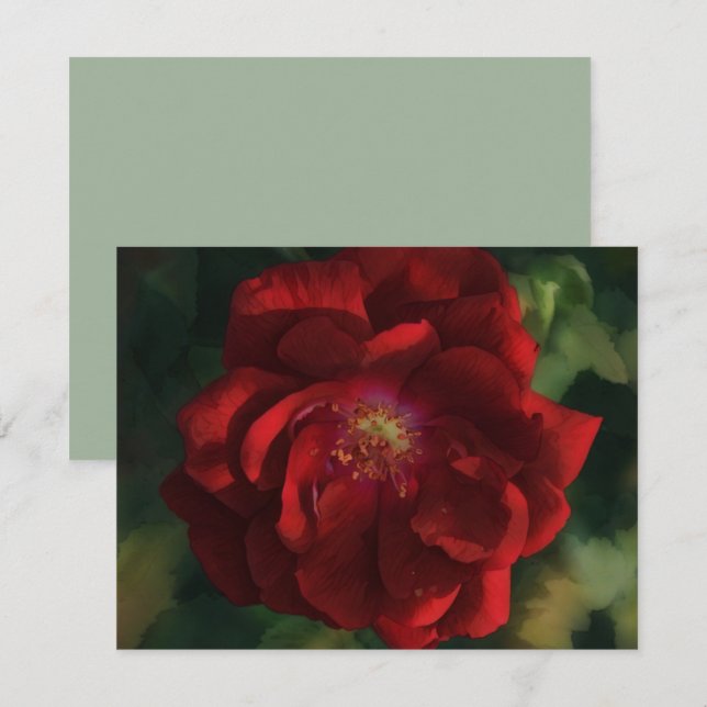 Red Rose Art Flower Floral Note Card Set Mitteilungskarte (Vorne/Hinten)