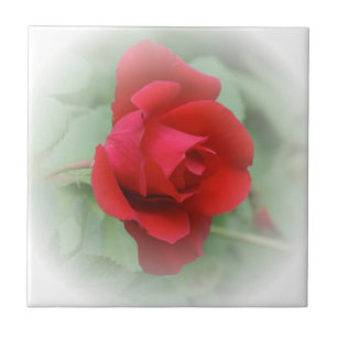 Red Rose Fliese