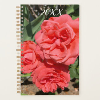 Red Rose Flower Cluster In Garden Photograph
