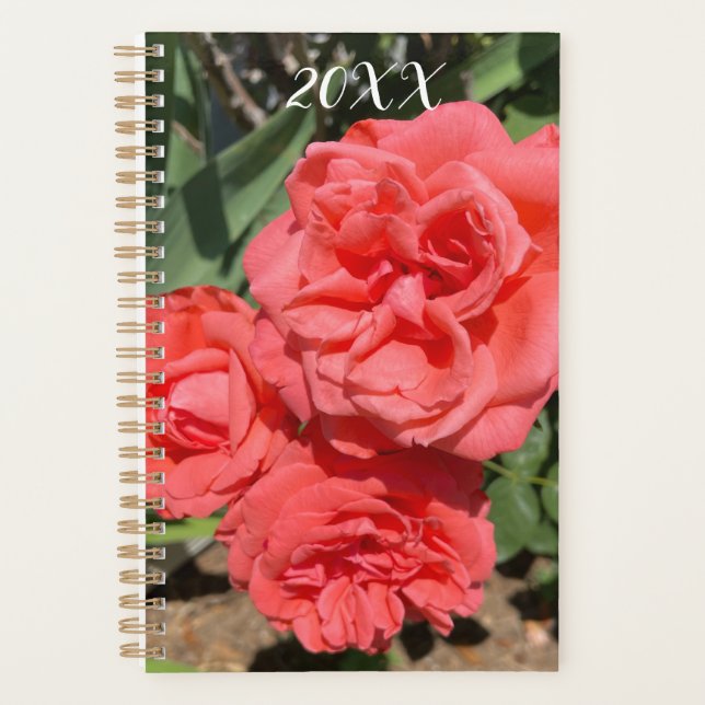 Red Rose Flower Cluster In Garden Photograph (Devant)