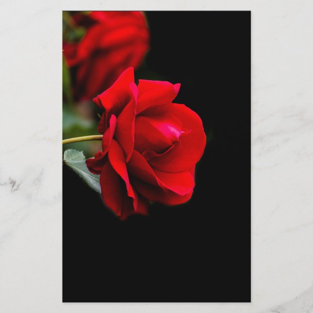 Red Rose Flyer (Vorne)