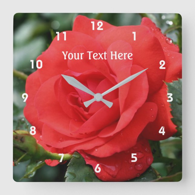 Red Rose In Bloom Flower Runde Wanduhr (Vorderseite)