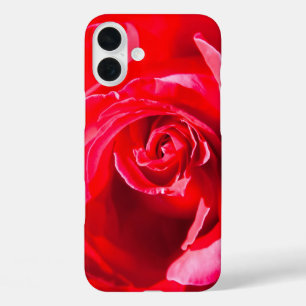 Red Rose iPhone 16 Plus Hülle
