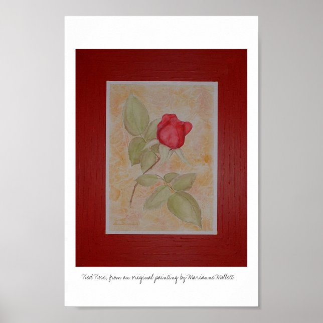 Red Rose Poster (Vorne)