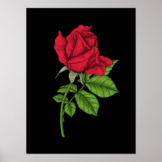 Red Rose Poster (Vorne)