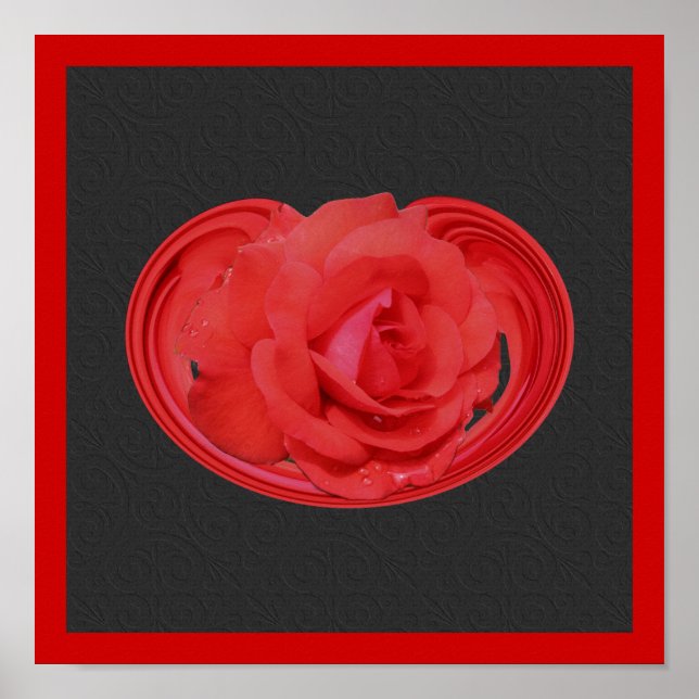 Red Rose Raindrops Design Floral Poster (Devant)