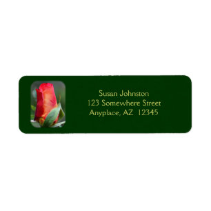 Red Rosenknospe Blume Address Label