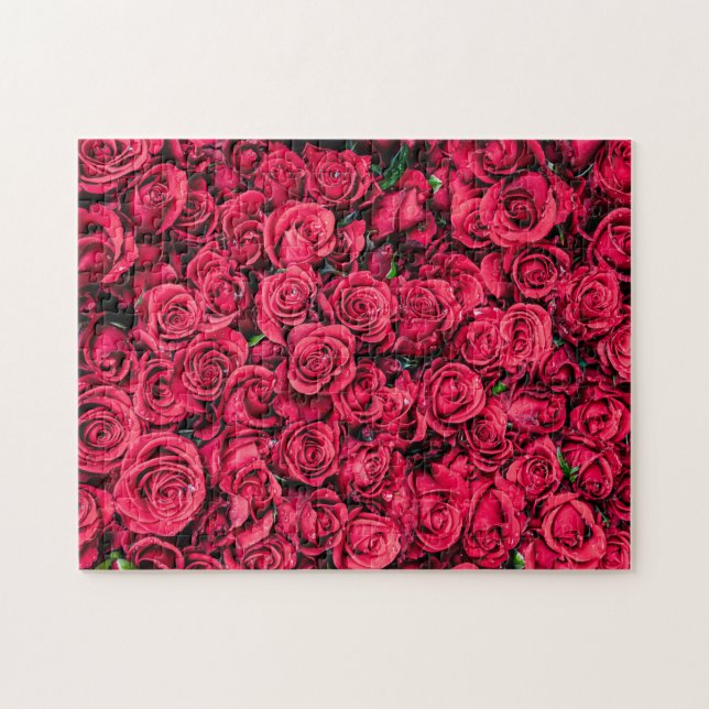 Red Roses (Horizontal)