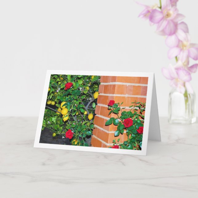 Red Roses and Lemons Karte (Orchidee)