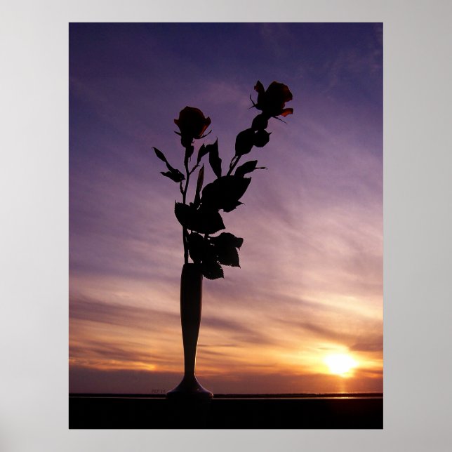 Red Roses At Sunset Poster (Vorne)