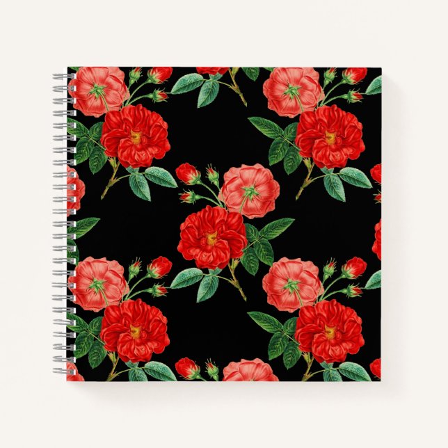Red Roses, Black Background, Notizbuch (Vorderseite)