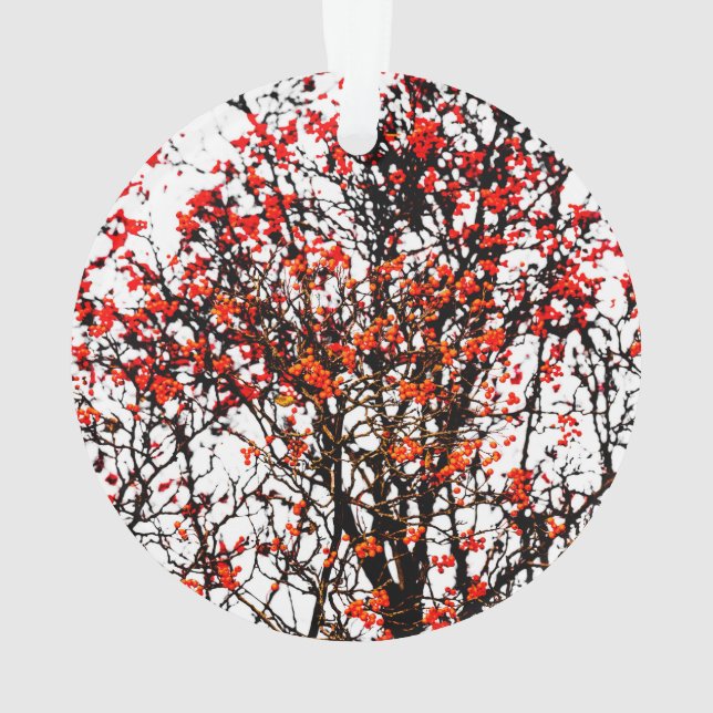 Red rowan fruit or ash berries ornament (Rückseite)