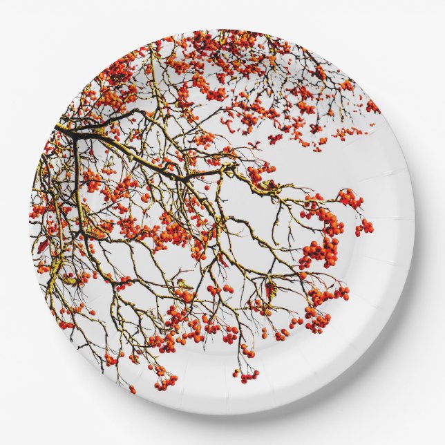 Red rowan fruit or ash berries pappteller (Vorderseite)