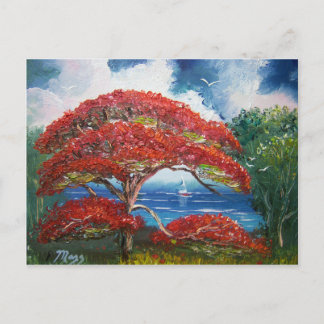 Red Royal Poinciana Tree and Sailboat Postkarte