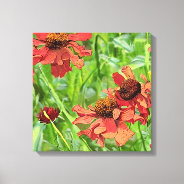 RED RUDBECKIA FLOWERS LEINWANDDRUCK (Vorderseite)