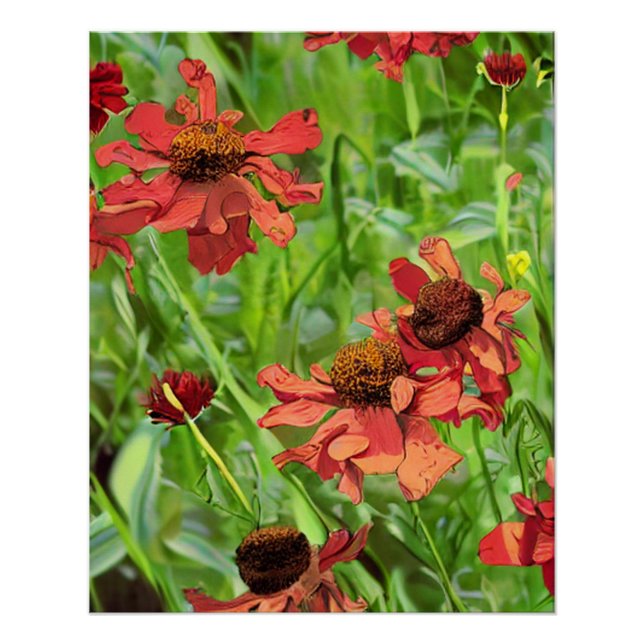RED RUDBECKIA FLOWERS POSTER (Vorderseite)