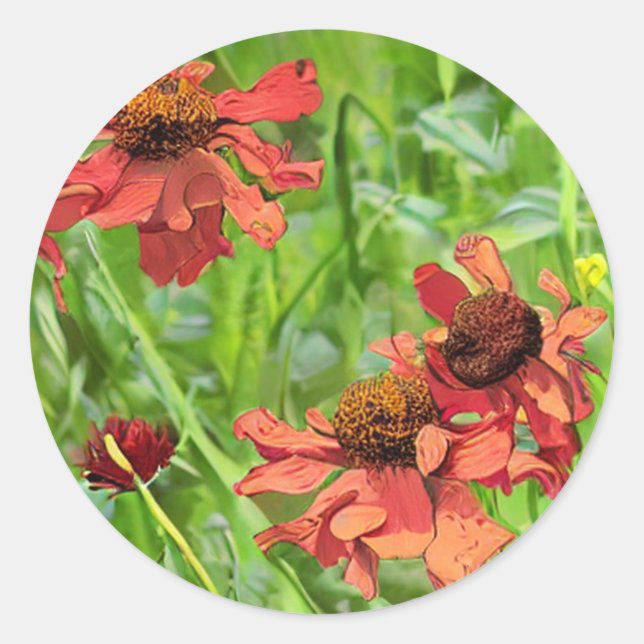 RED RUDBECKIA FLOWERS RUNDER AUFKLEBER (Vorderseite)