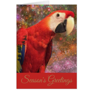 Red Scarlet Macaw Parrot Urlaubssaison Karte