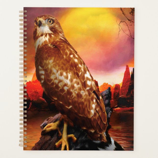 Red Schulter Hawk LAST DESERT LIGHTS Planer (Vorderseite)