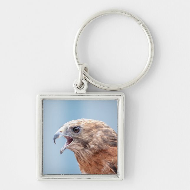 Red Schulter Hawk Schlüsselanhänger (Vorne)