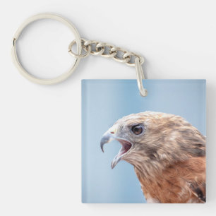 Red Schulter Hawk Schlüsselanhänger