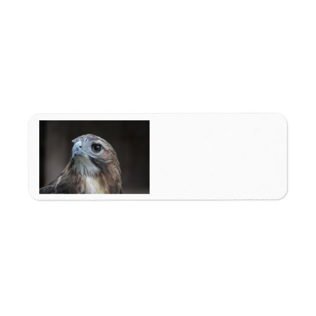 Red Schwanz Hawk Adressetiketten (Vorne)