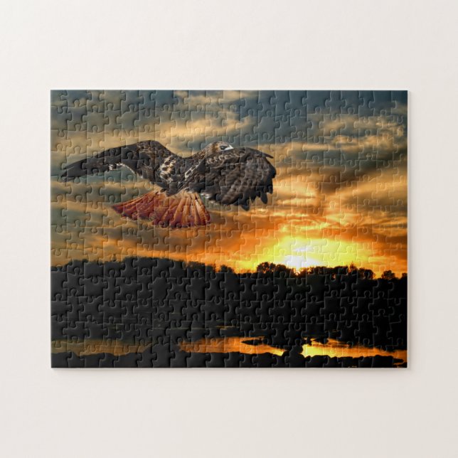 Red Schwanz Hawk bei Sunset (Horizontal)