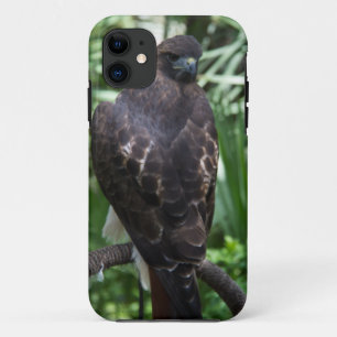 Red Schwanz Hawk Bird Case-Mate iPhone Hülle