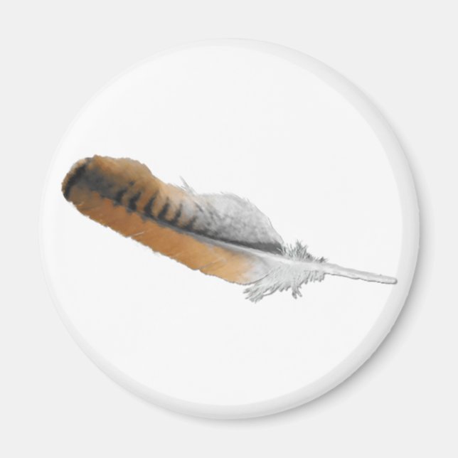 Red-Schwanz Hawk feather Magnet (Vorne)