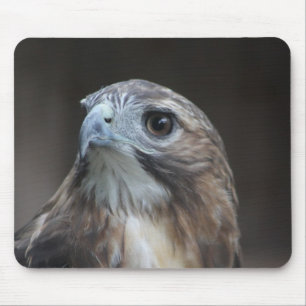 Red Schwanz Hawk Mouse Pad Mousepad