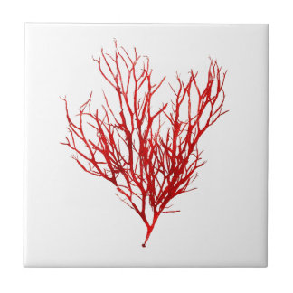 Red Seaweed Art Nr. 10 Beach Thema Dekor Fliese