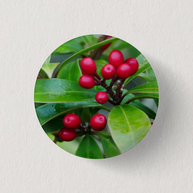 Red Skimmia Berries Abzeichen Button (Vorderseite)